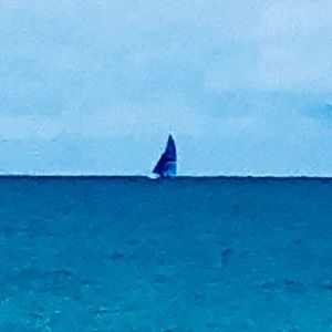 Meet your Posher, Lily